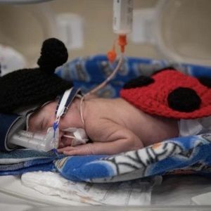 Meet your Posher, Domenic